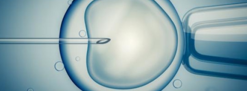 In vitro fertilization