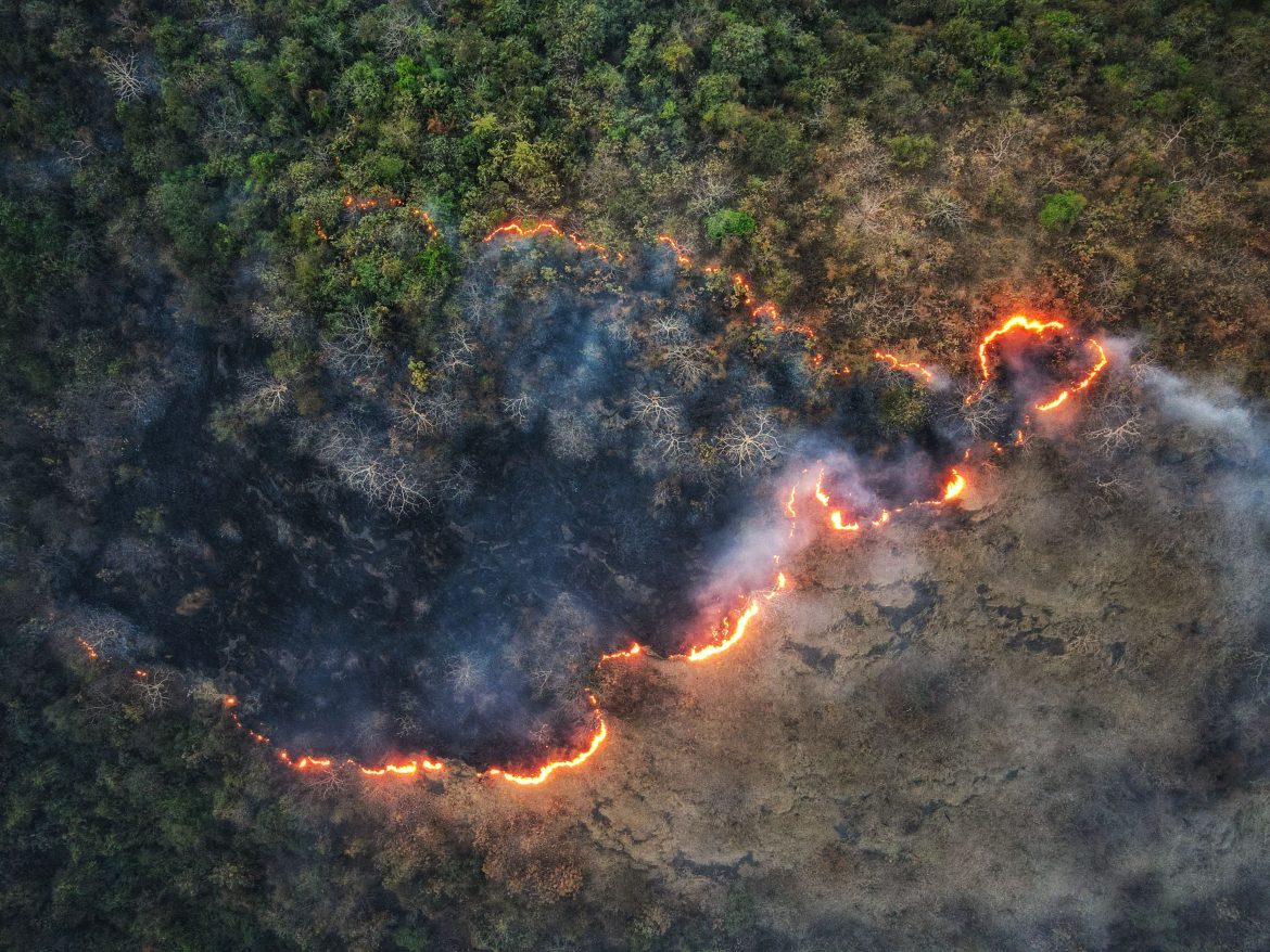 Fire aerial view